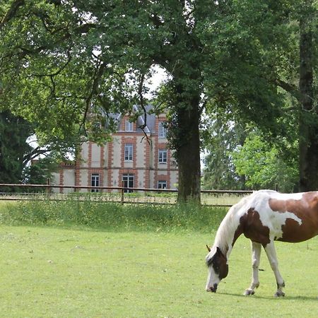 Chateau De Beauchene Chambres D'Hotes Allogny Exterior foto