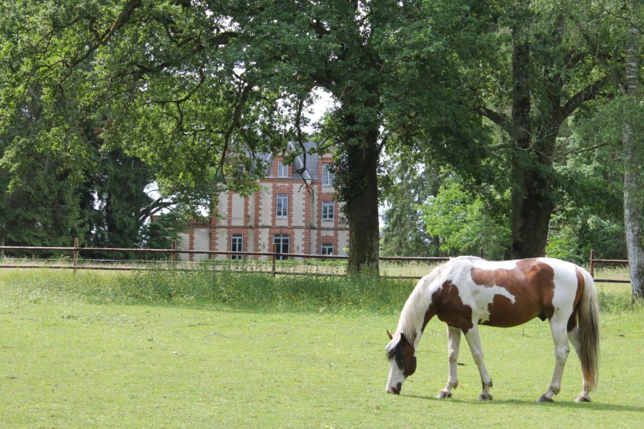 Chateau De Beauchene Chambres D'Hotes Allogny Exterior foto